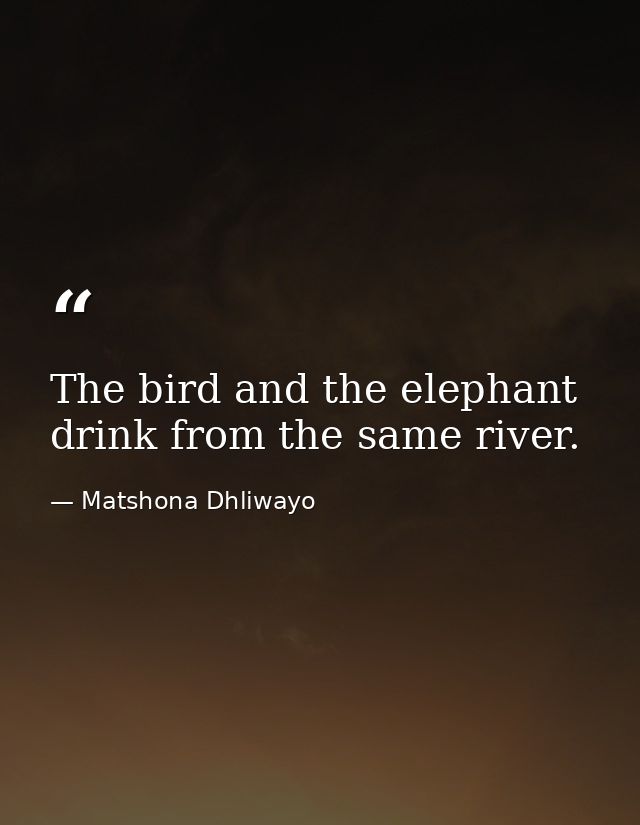 The bird and the elephant drink from the same river. — Matshona Dhliwayo