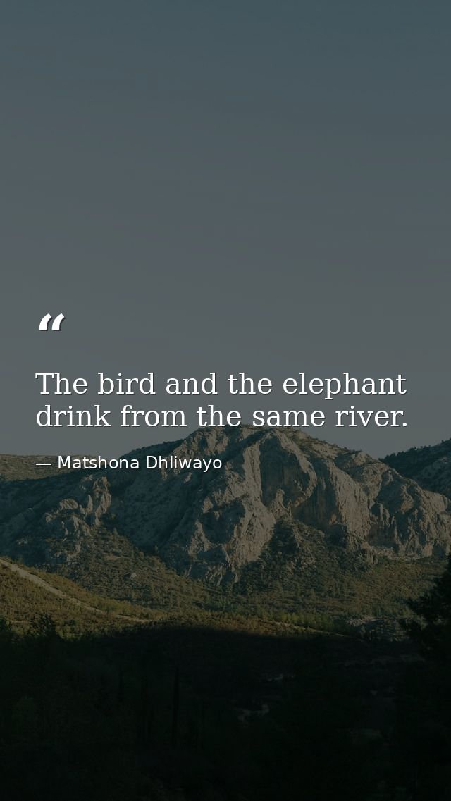 The bird and the elephant drink from the same river. — Matshona Dhliwayo