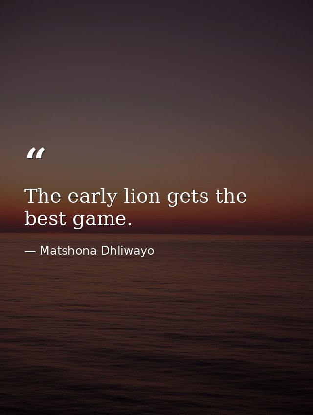 The early lion gets the best game. — Matshona Dhliwayo