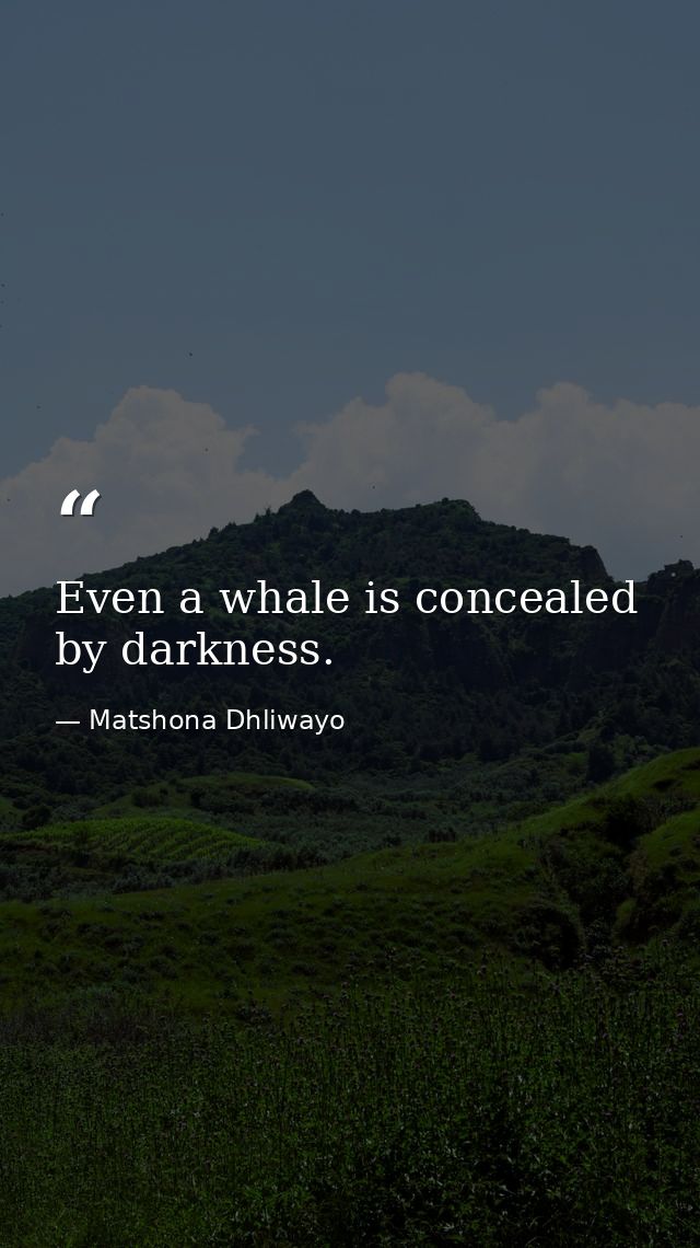 Even a whale is concealed by darkness. — Matshona Dhliwayo