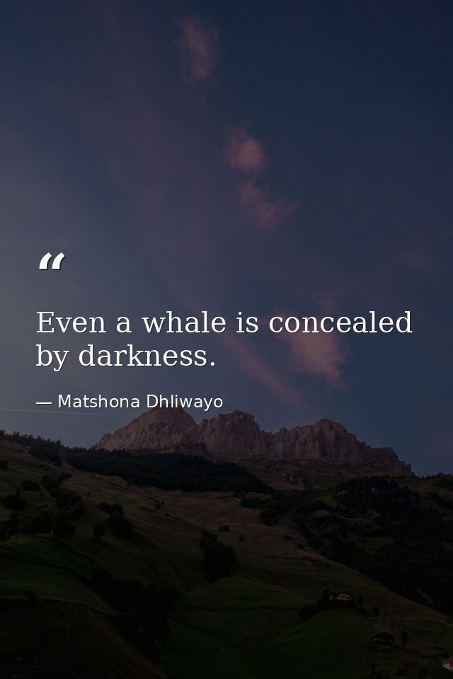 Even a whale is concealed by darkness. — Matshona Dhliwayo