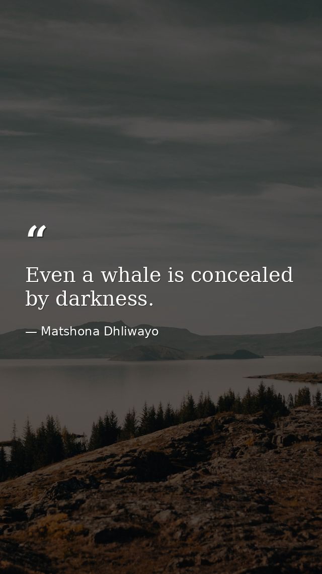 Even a whale is concealed by darkness. — Matshona Dhliwayo