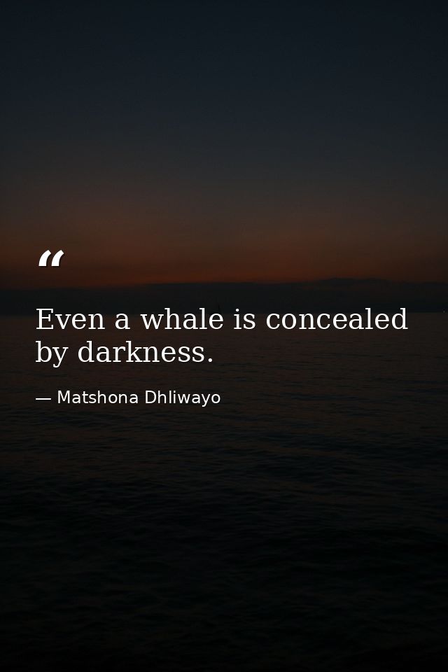 Even a whale is concealed by darkness. — Matshona Dhliwayo