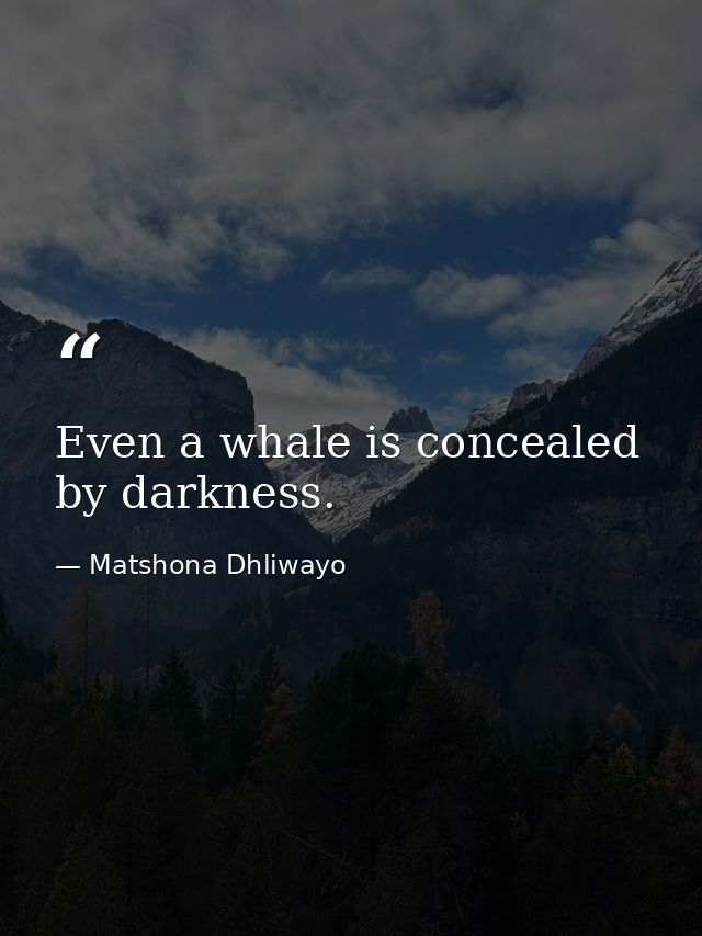 Even a whale is concealed by darkness. — Matshona Dhliwayo