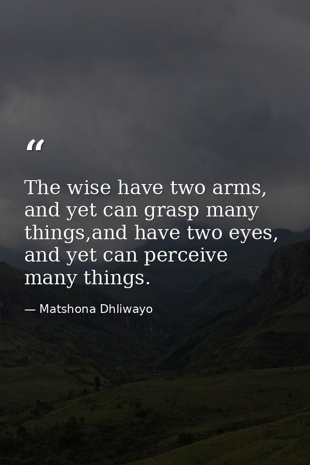 The wise have two arms, and yet can grasp many things,and have two eyes, and yet can perceive many things. — Matshona Dhliwayo