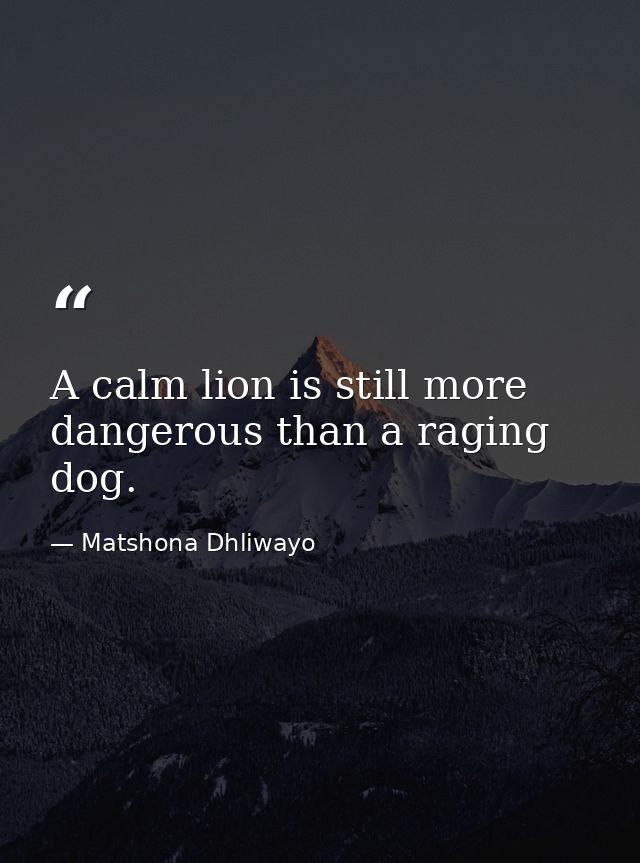 A calm lion is still more dangerous than a raging dog. — Matshona Dhliwayo