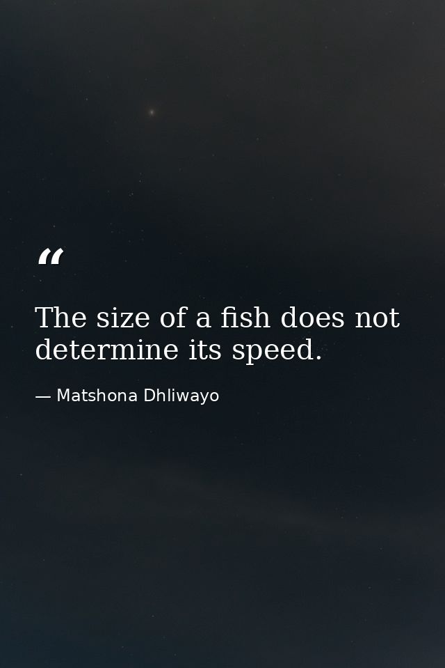 The size of a fish does not determine its speed. — Matshona Dhliwayo