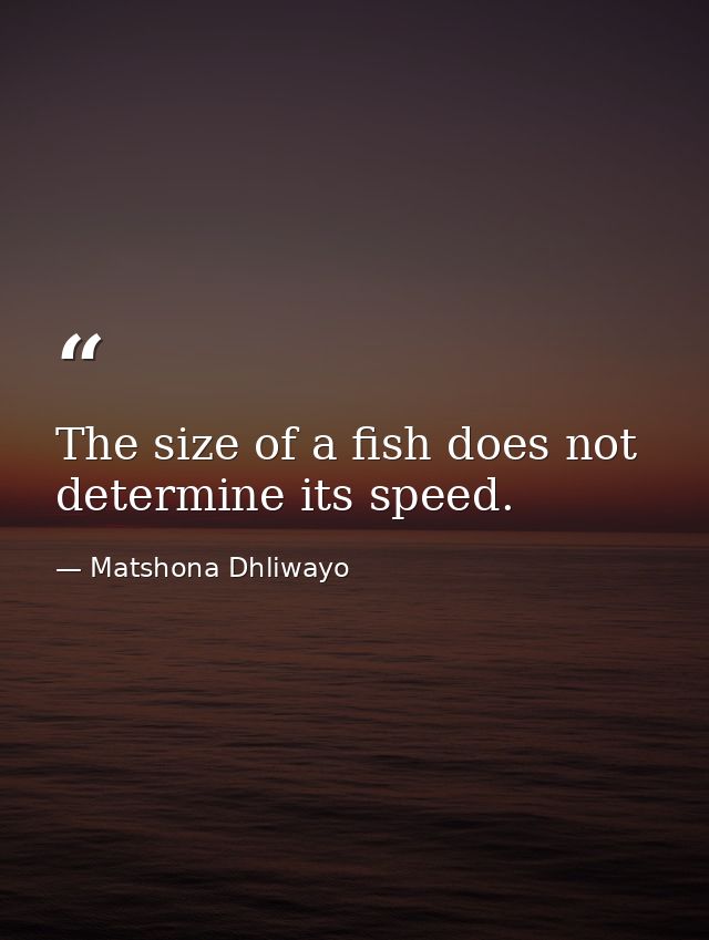 The size of a fish does not determine its speed. — Matshona Dhliwayo