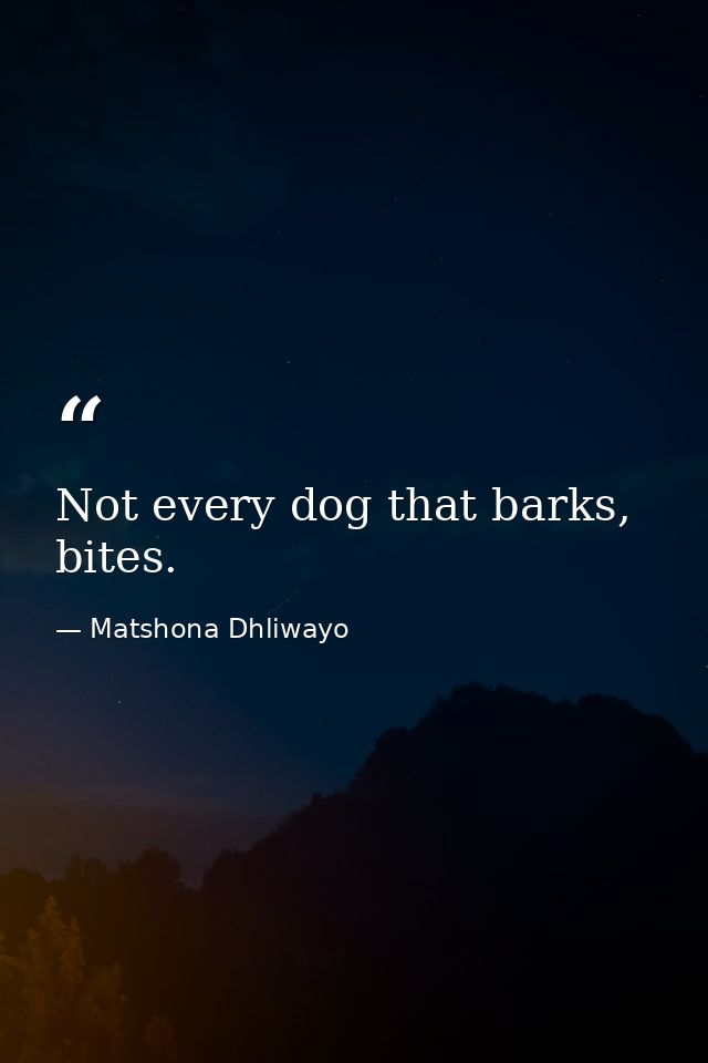 Not every dog that barks, bites. — Matshona Dhliwayo
