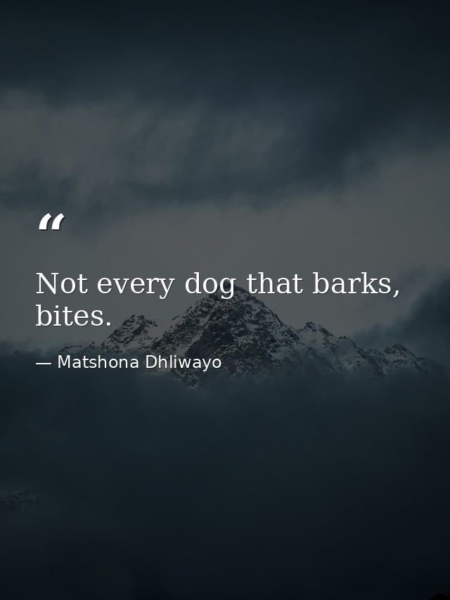 Not every dog that barks, bites. — Matshona Dhliwayo