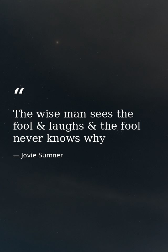 The wise man sees the fool & laughs & the fool never knows why — Jovie Sumner