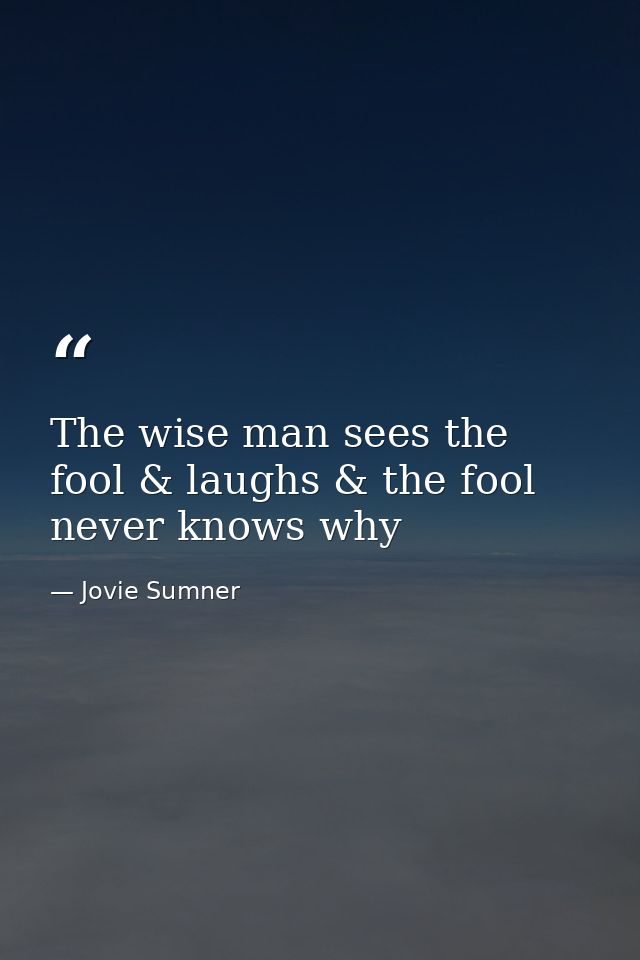 The wise man sees the fool & laughs & the fool never knows why — Jovie Sumner
