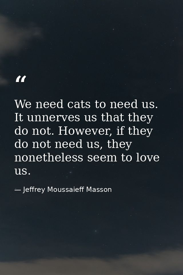 We need cats to need us. It unnerves us that they do not. However, if they do not need us, they nonetheless seem to love — Jeffrey Moussaieff Masson