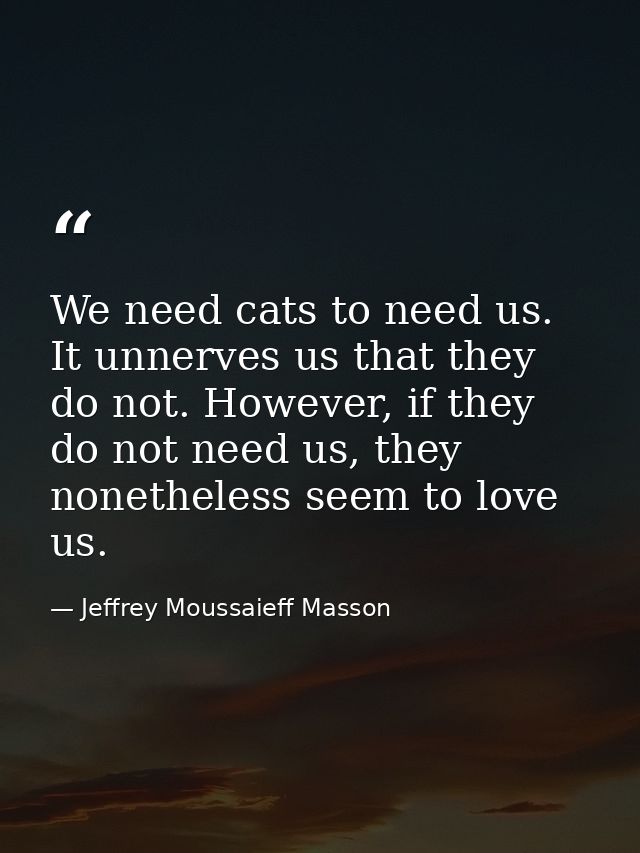 We need cats to need us. It unnerves us that they do not. However, if they do not need us, they nonetheless seem to love — Jeffrey Moussaieff Masson