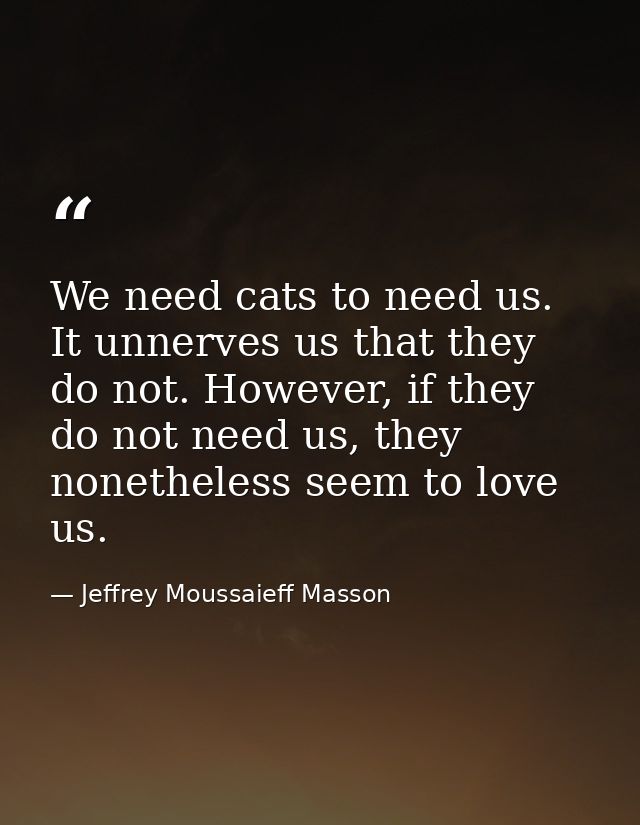 We need cats to need us. It unnerves us that they do not. However, if they do not need us, they nonetheless seem to love — Jeffrey Moussaieff Masson