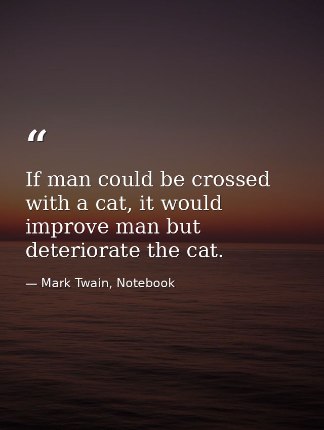 If man could be crossed with a cat, it would improve man but deteriorate the cat. — Mark Twain, Notebook