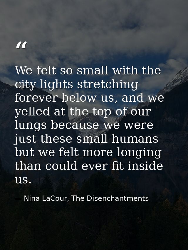 We felt so small with the city lights stretching forever below us, and we yelled at the top of our lungs because we were — Nina LaCour, The Disenchantments