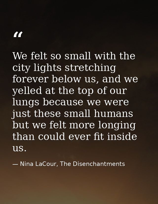 We felt so small with the city lights stretching forever below us, and we yelled at the top of our lungs because we were — Nina LaCour, The Disenchantments