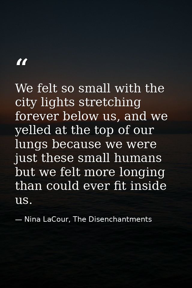 We felt so small with the city lights stretching forever below us, and we yelled at the top of our lungs because we were — Nina LaCour, The Disenchantments
