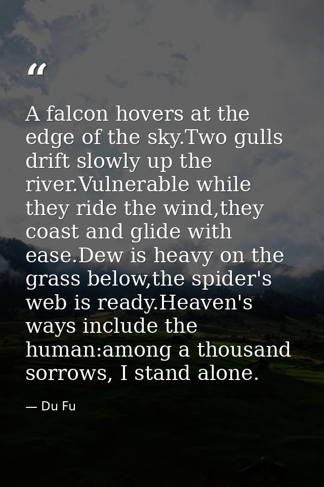 A falcon hovers at the edge of the sky.Two gulls drift slowly up the river.Vulnerable while they ride the wind,they coas — Du Fu