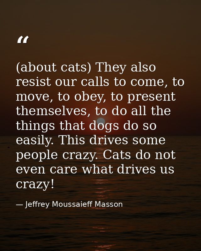 (about cats) They also resist our calls to come, to move, to obey, to present themselves, to do all the things that dogs — Jeffrey Moussaieff Masson