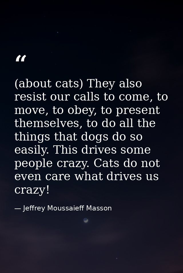(about cats) They also resist our calls to come, to move, to obey, to present themselves, to do all the things that dogs — Jeffrey Moussaieff Masson