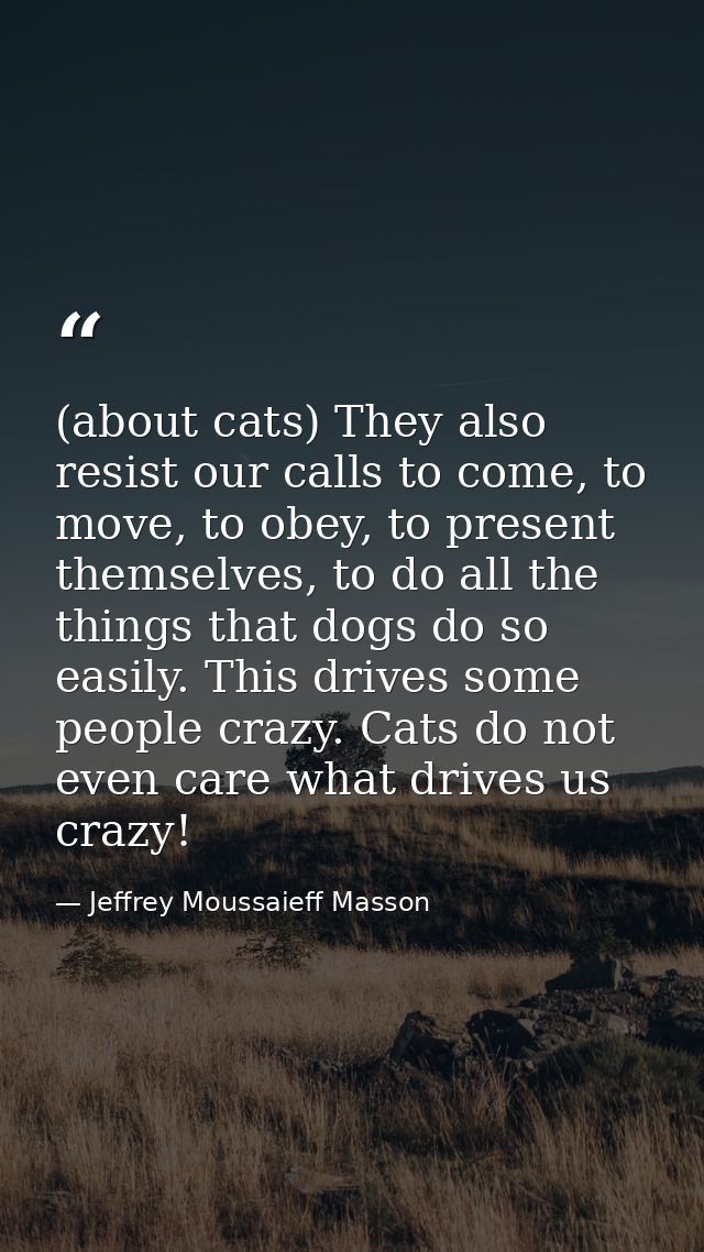 (about cats) They also resist our calls to come, to move, to obey, to present themselves, to do all the things that dogs — Jeffrey Moussaieff Masson