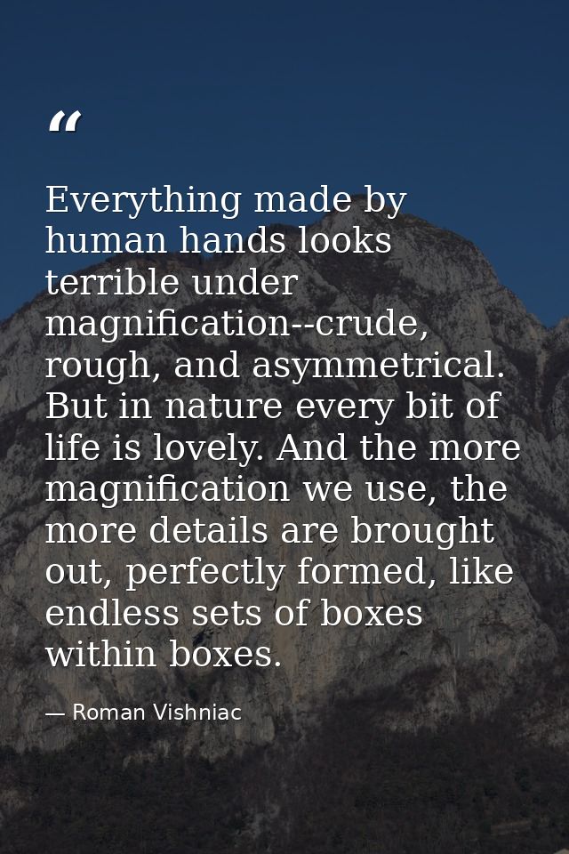 Everything made by human hands looks terrible under magnification--crude, rough, and asymmetrical. But in nature every b — Roman Vishniac