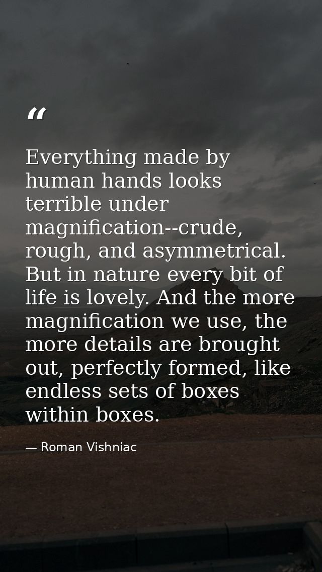 Everything made by human hands looks terrible under magnification--crude, rough, and asymmetrical. But in nature every b — Roman Vishniac