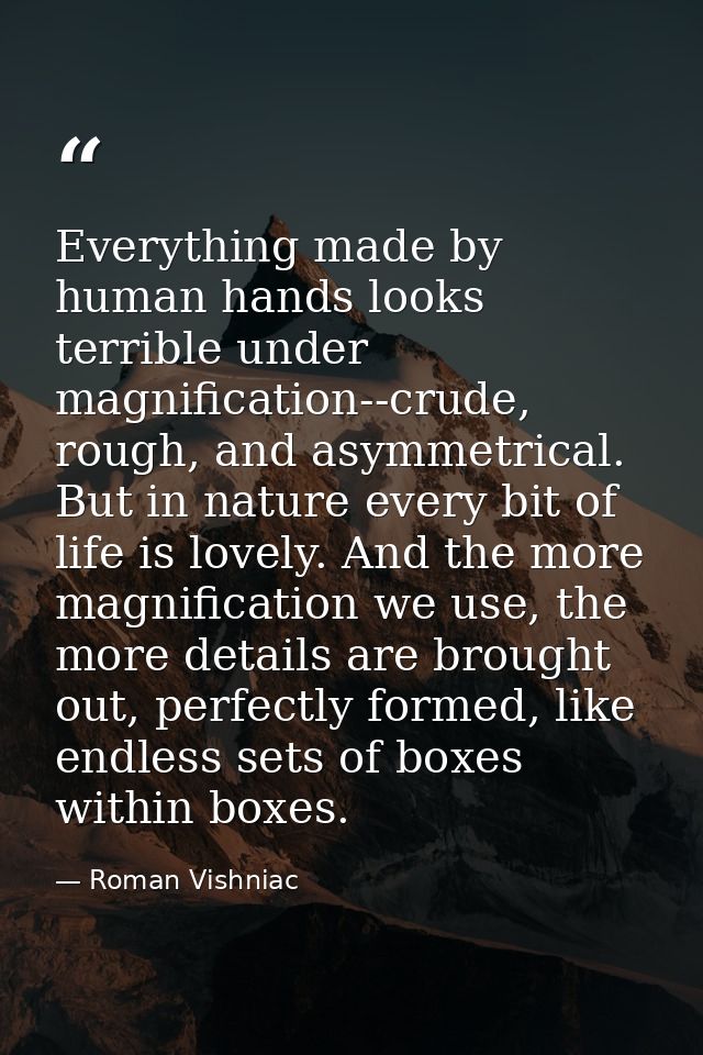 Everything made by human hands looks terrible under magnification--crude, rough, and asymmetrical. But in nature every b — Roman Vishniac