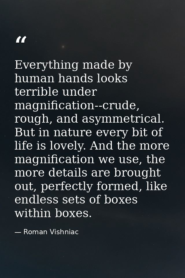 Everything made by human hands looks terrible under magnification--crude, rough, and asymmetrical. But in nature every b — Roman Vishniac