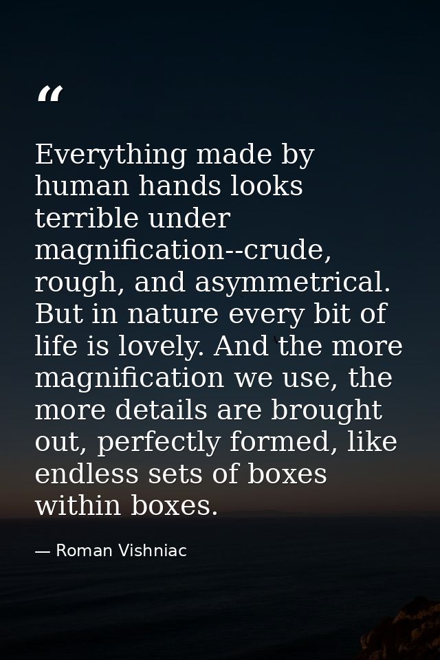 Everything made by human hands looks terrible under magnification--crude, rough, and asymmetrical. But in nature every b — Roman Vishniac