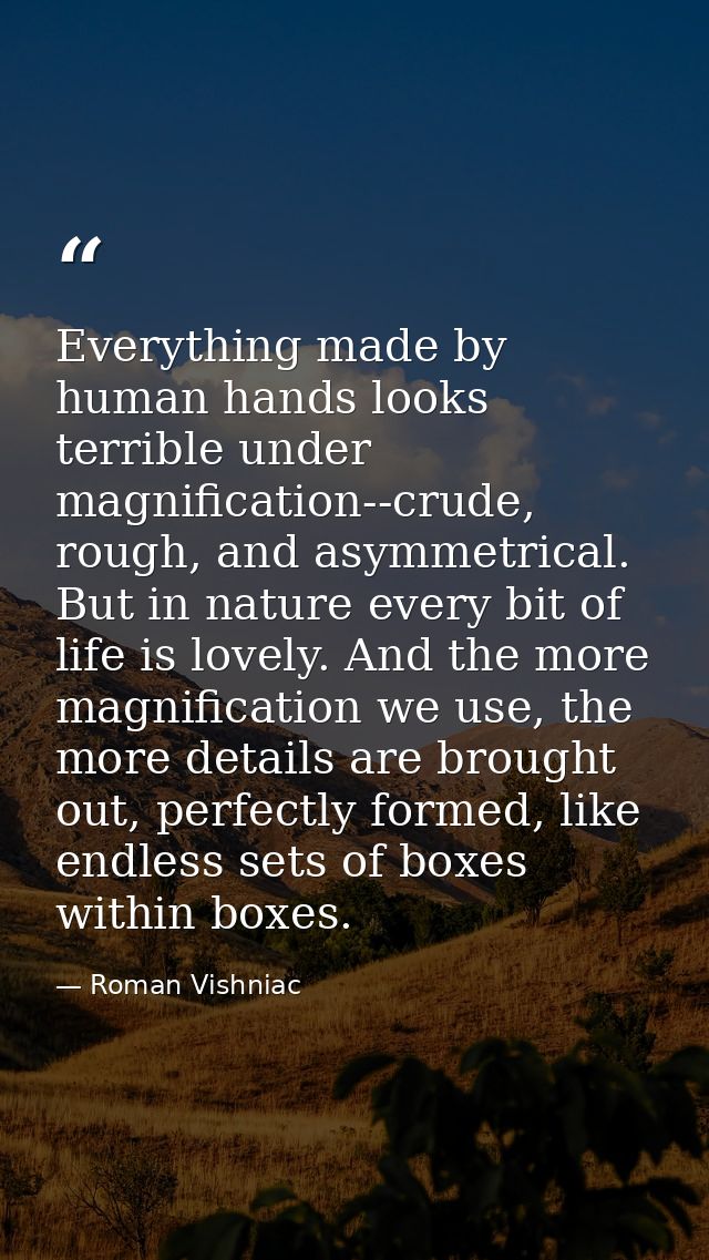 Everything made by human hands looks terrible under magnification--crude, rough, and asymmetrical. But in nature every b — Roman Vishniac