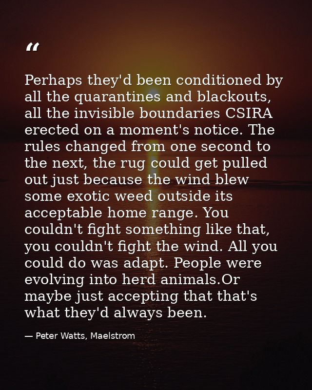 Perhaps they'd been conditioned by all the quarantines and blackouts, all the invisible boundaries CSIRA erected on a mo — Peter Watts, Maelstrom