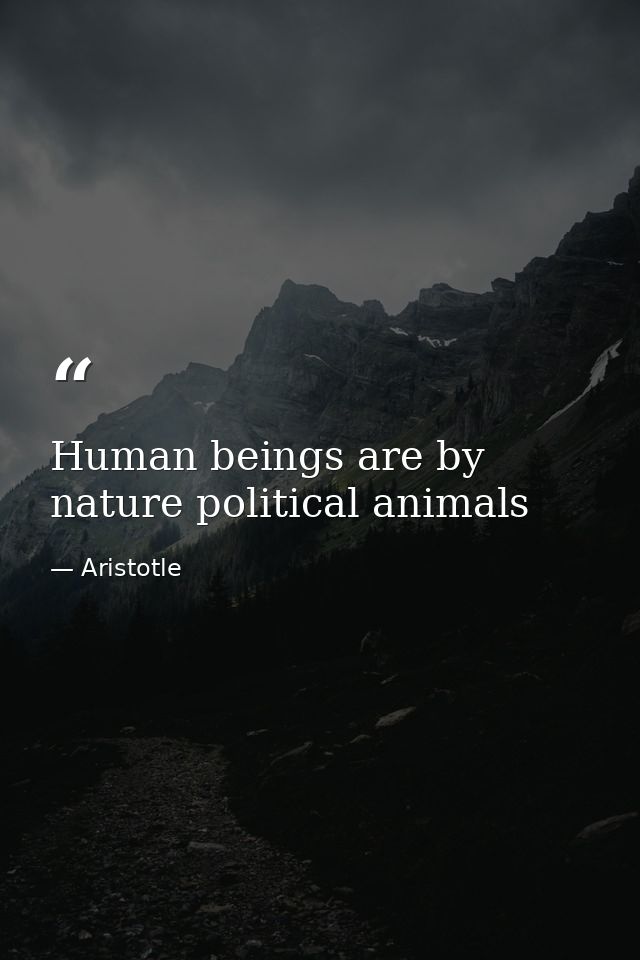 Human beings are by nature political animals — Aristotle