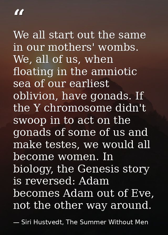 We all start out the same in our mothers' wombs. We, all of us, when floating in the amniotic sea of our earliest oblivi — Siri Hustvedt, The Summer Without Men