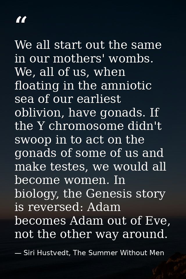 We all start out the same in our mothers' wombs. We, all of us, when floating in the amniotic sea of our earliest oblivi — Siri Hustvedt, The Summer Without Men