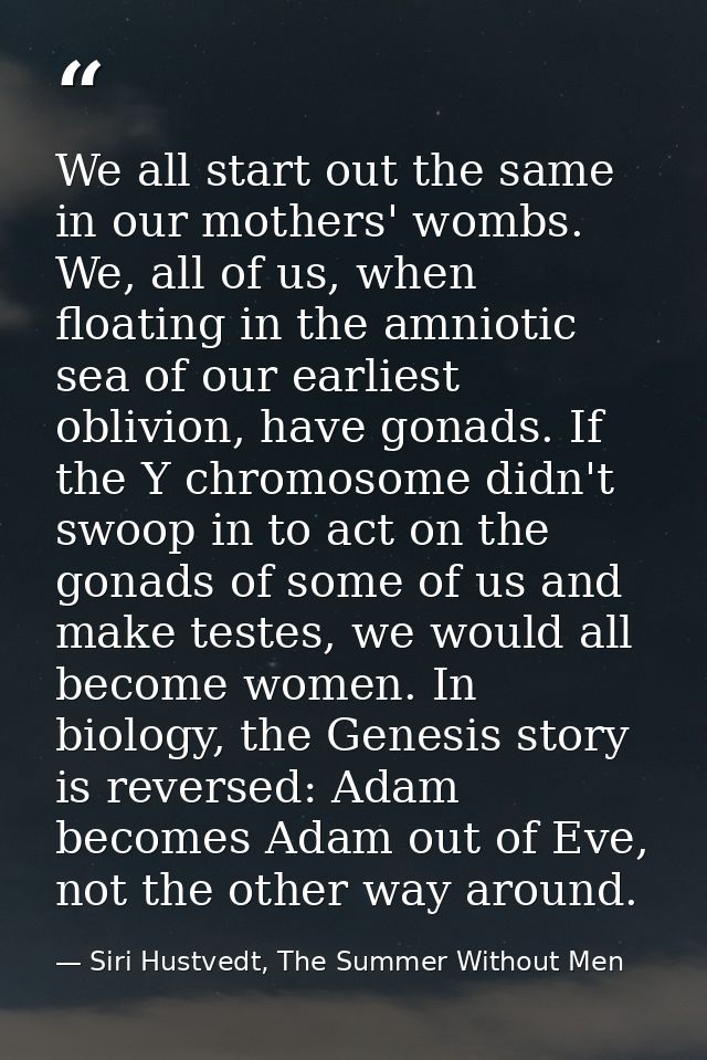 We all start out the same in our mothers' wombs. We, all of us, when floating in the amniotic sea of our earliest oblivi — Siri Hustvedt, The Summer Without Men