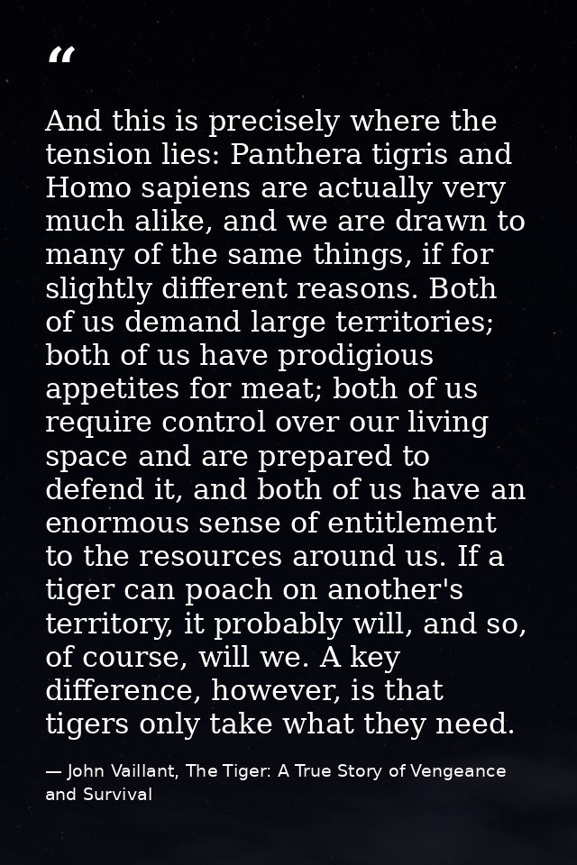 And this is precisely where the tension lies: Panthera tigris and Homo sapiens are actually very much alike, and we are  — John Vaillant, The Tiger: A True Story of Vengeance and Survival