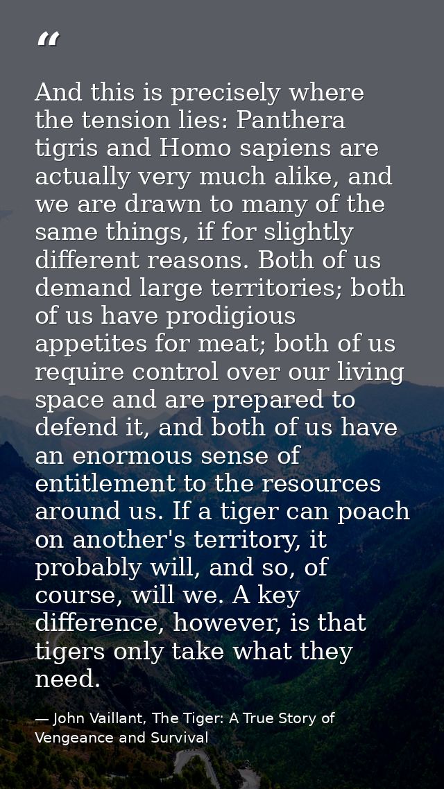 And this is precisely where the tension lies: Panthera tigris and Homo sapiens are actually very much alike, and we are  — John Vaillant, The Tiger: A True Story of Vengeance and Survival