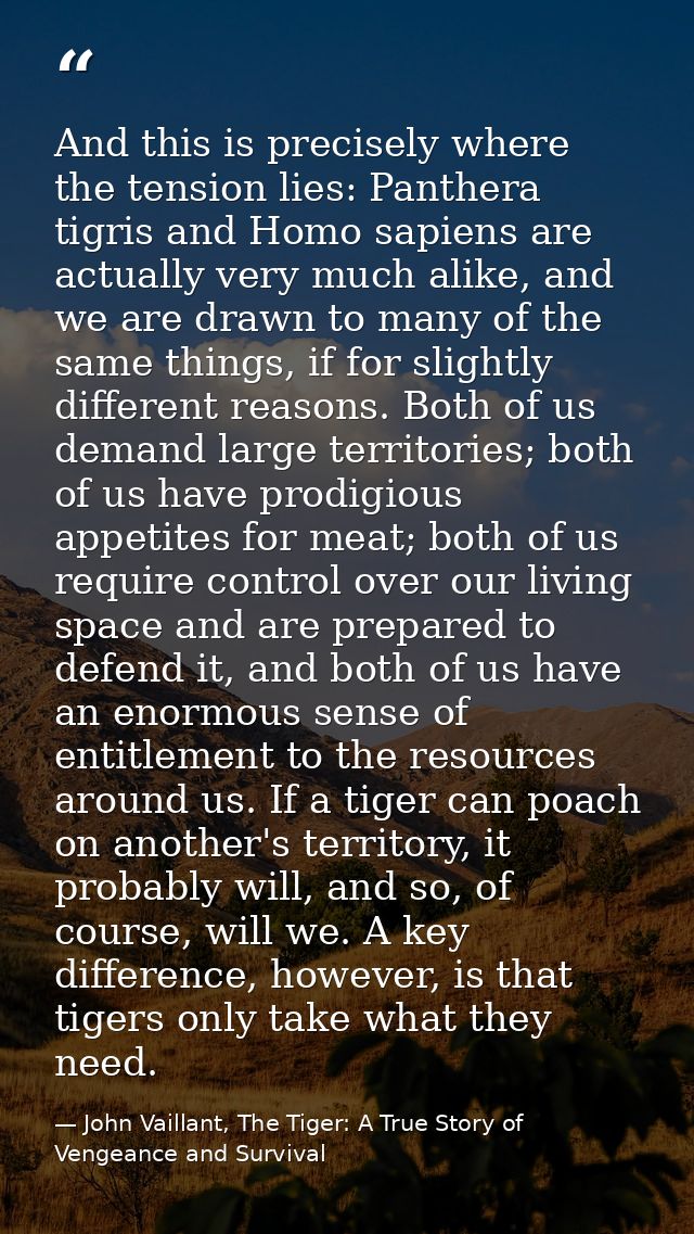 And this is precisely where the tension lies: Panthera tigris and Homo sapiens are actually very much alike, and we are  — John Vaillant, The Tiger: A True Story of Vengeance and Survival