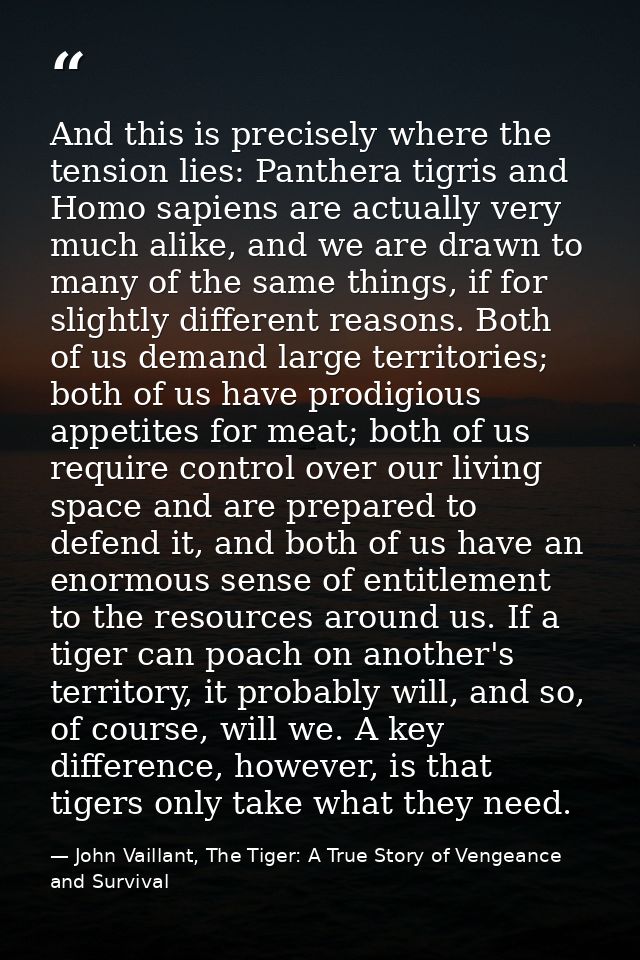 And this is precisely where the tension lies: Panthera tigris and Homo sapiens are actually very much alike, and we are  — John Vaillant, The Tiger: A True Story of Vengeance and Survival