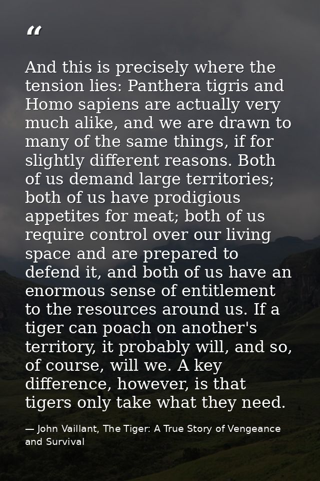 And this is precisely where the tension lies: Panthera tigris and Homo sapiens are actually very much alike, and we are  — John Vaillant, The Tiger: A True Story of Vengeance and Survival