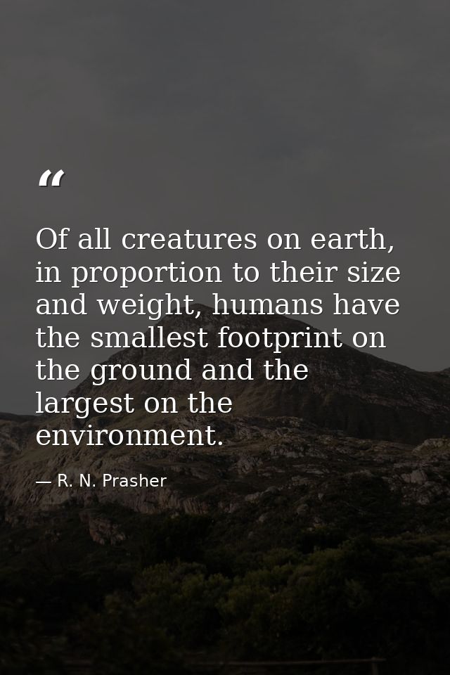 Of all creatures on earth, in proportion to their size and weight, humans have the smallest footprint on the ground and  — R. N. Prasher