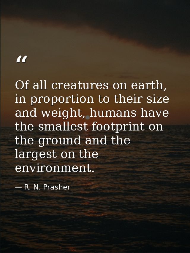 Of all creatures on earth, in proportion to their size and weight, humans have the smallest footprint on the ground and  — R. N. Prasher