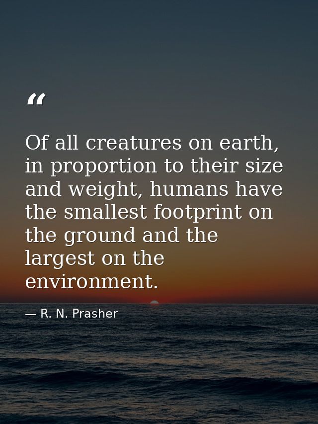 Of all creatures on earth, in proportion to their size and weight, humans have the smallest footprint on the ground and  — R. N. Prasher