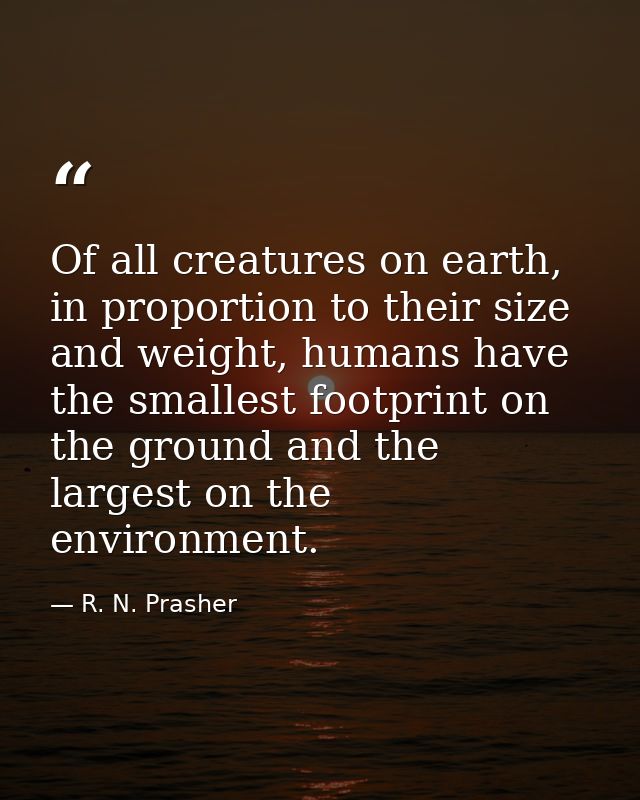 Of all creatures on earth, in proportion to their size and weight, humans have the smallest footprint on the ground and  — R. N. Prasher