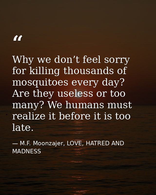 Why we don’t feel sorry for killing thousands of mosquitoes every day? Are they useless or too many? We humans must real — M.F. Moonzajer, LOVE, HATRED AND MADNESS