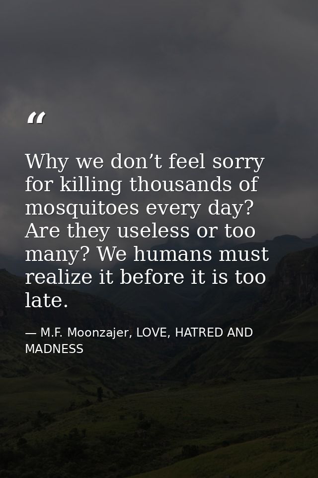 Why we don’t feel sorry for killing thousands of mosquitoes every day? Are they useless or too many? We humans must real — M.F. Moonzajer, LOVE, HATRED AND MADNESS
