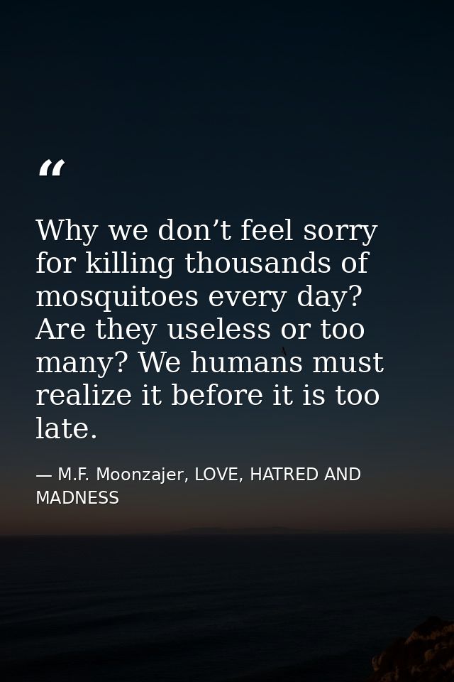 Why we don’t feel sorry for killing thousands of mosquitoes every day? Are they useless or too many? We humans must real — M.F. Moonzajer, LOVE, HATRED AND MADNESS